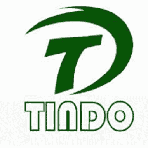 Jinan TINDO International logo