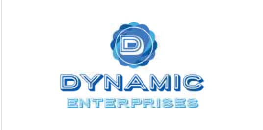 Dynamic Enterprise Logo