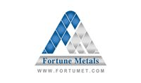 FORTUNE METAL IND. FACTORY logo