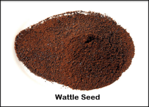 Wattle Seed Mayo