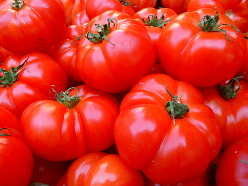 pile of tomatoes for ketchup manufacturing